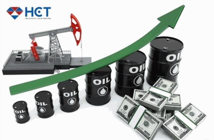 6.4 Đầu tư vào cổ phiếu của các doanh nghiệp hoạt động trong lĩnh vực dầu khí.