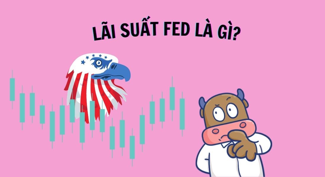 Tổng hợp thông tin về tỷ lệ FED Fund Rate - FFR.