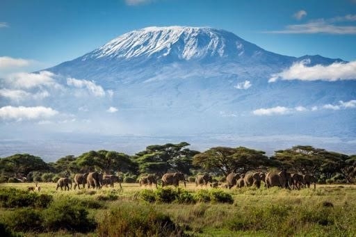 Richard Tan muốn trèo lên đỉnh Kilimanjaro có câu chuyện?