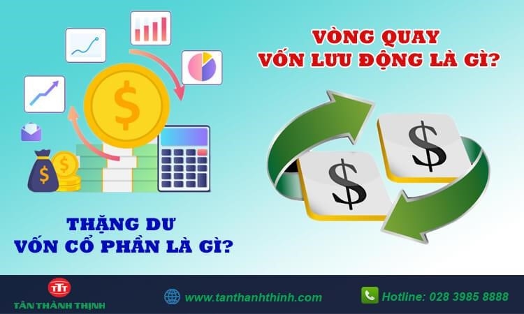 b) Các nguồn vốn sở hữu tại Việt Nam
